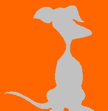 Chien_ombre_gris_orange.jpg