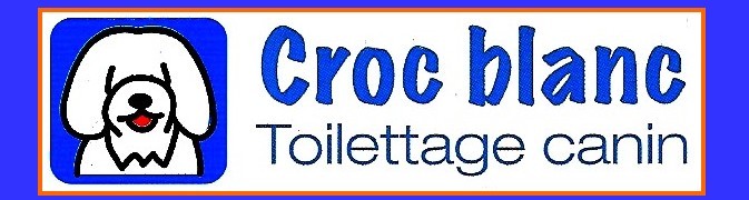 Image_Croc_Blanc.jpg