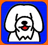 Image_chien.jpg
